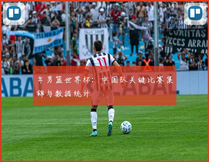 年男篮世界杯:中国队关键比赛集锦与数据统计
