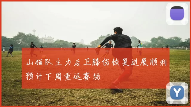山猫队主力后卫膝伤恢复进展顺利预计下周重返赛场