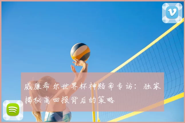 威廉希尔世界杯神赔率专访:独家揭秘高回报背后的策略