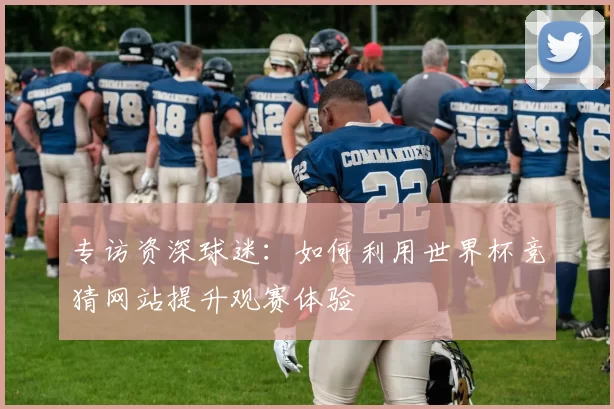 专访资深球迷:如何利用世界杯竞猜网站提升观赛体验