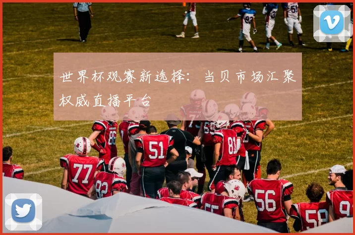 世界杯观赛新选择：当贝市场汇聚权威直播平台