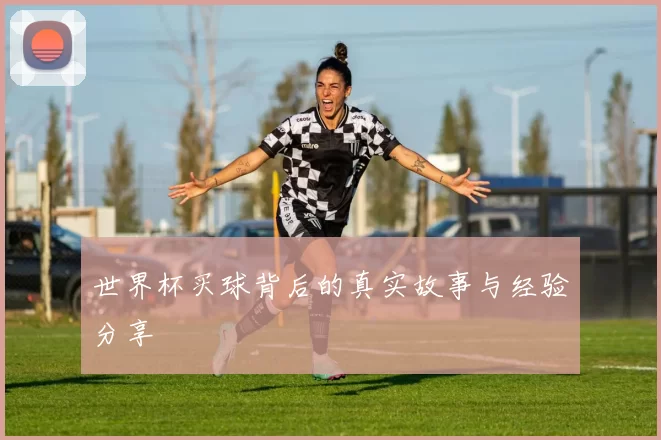 世界杯买球背后的真实故事与经验分享