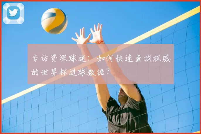 专访资深球迷：如何快速查找权威的世界杯进球数据？