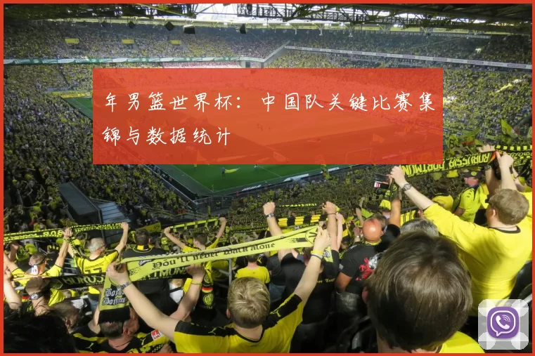 年男篮世界杯:中国队关键比赛集锦与数据统计