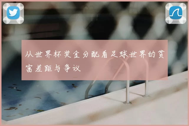 从世界杯奖金分配看足球世界的贫富差距与争议