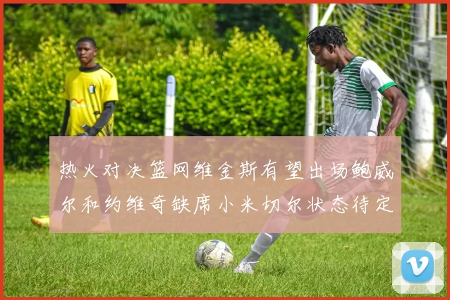热火对决篮网维金斯有望出场鲍威尔和约维奇缺席小米切尔状态待定