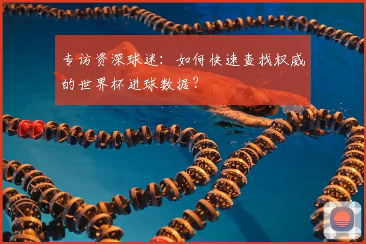专访资深球迷:如何快速查找权威的世界杯进球数据?