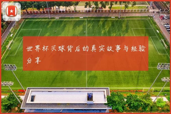 世界杯买球背后的真实故事与经验分享