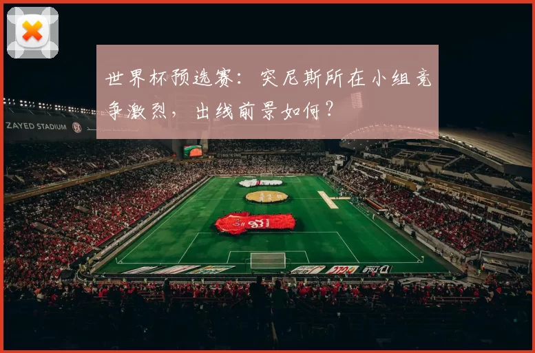 世界杯预选赛：突尼斯所在小组竞争激烈，出线前景如何？