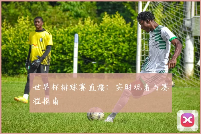 世界杯排球赛直播：实时观看与赛程指南