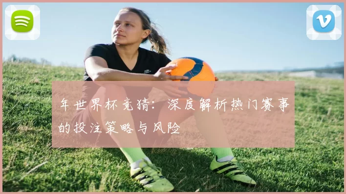 年世界杯竞猜：深度解析热门赛事的投注策略与风险