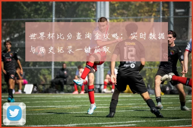 世界杯比分查询全攻略:实时数据与历史记录一键获取