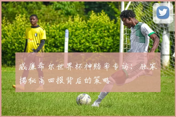 威廉希尔世界杯神赔率专访：独家揭秘高回报背后的策略