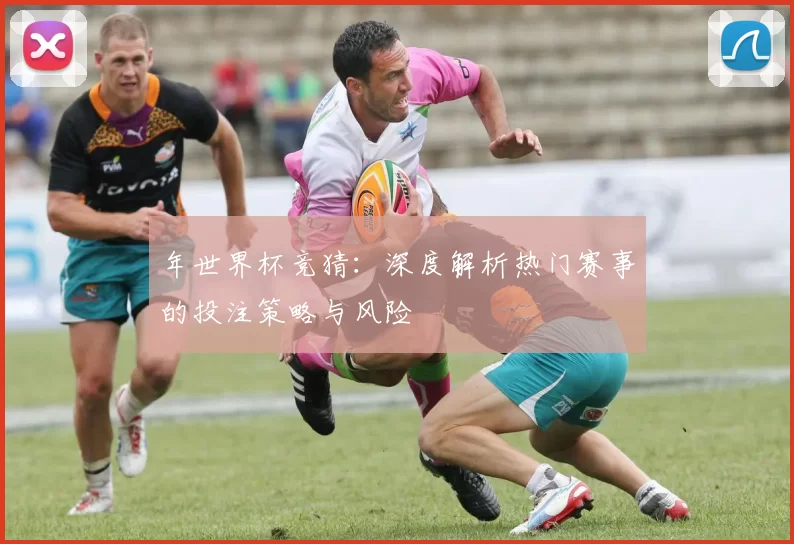 年世界杯竞猜：深度解析热门赛事的投注策略与风险