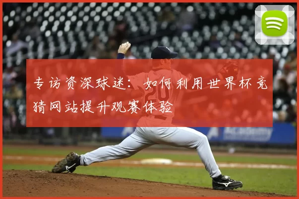 专访资深球迷：如何利用世界杯竞猜网站提升观赛体验
